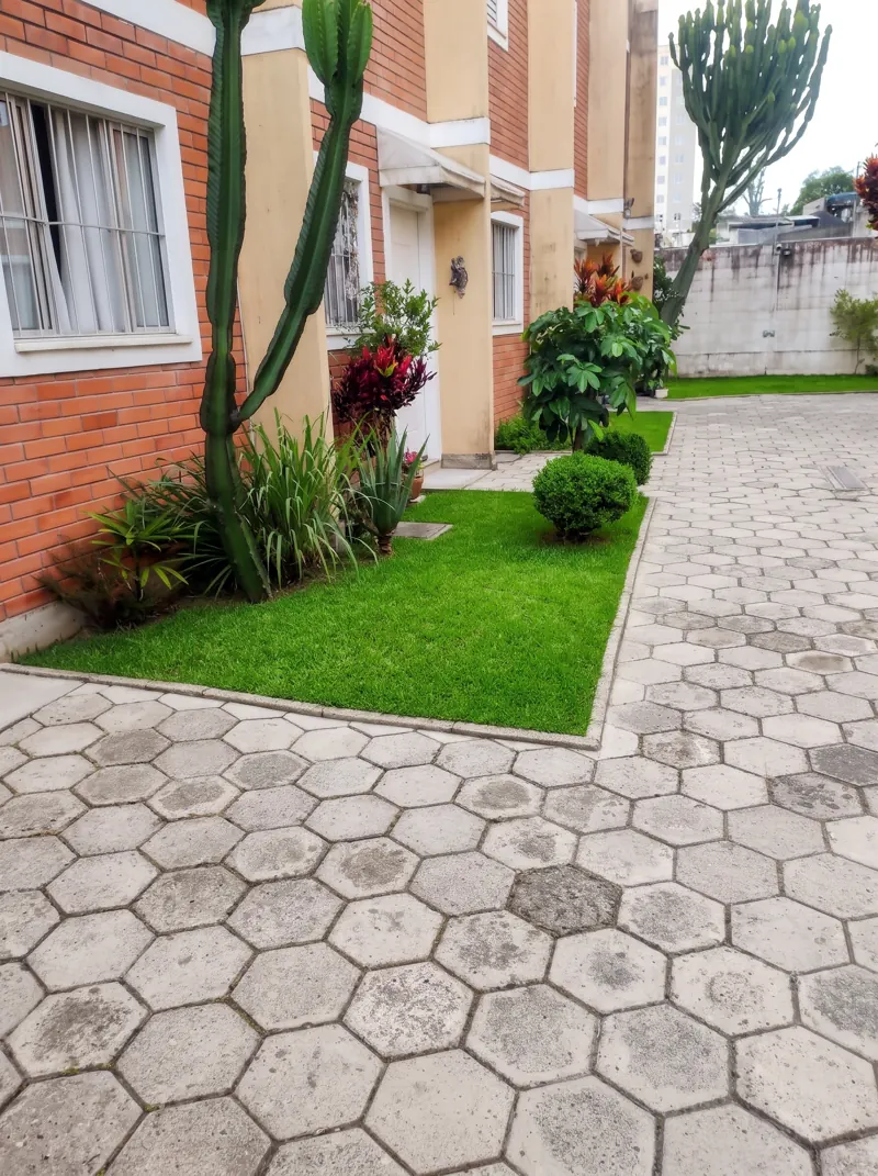 Gramado aparado, buxinhos e cactos ornamentais na entrada das casas de um condomínio